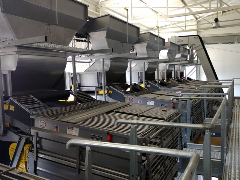 KWS - Semenski doradni centar - Bečej, Srbija 1